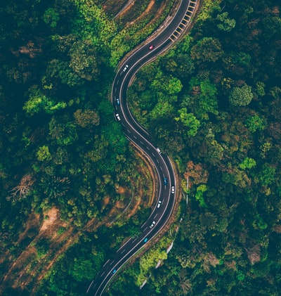 顶视图的汽车道路被树木包围着
